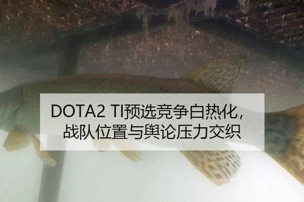 DOTA2 TI预选竞争白热化，战队位置与舆论压力交织 - xingkong